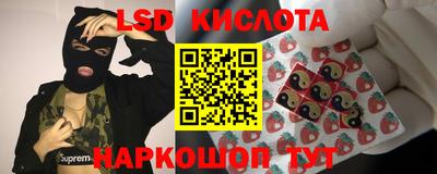 спиды Шахты