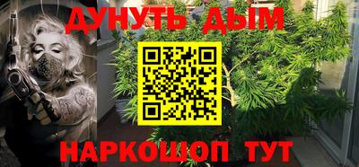 дурь Шелехов