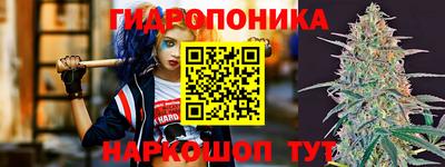 дурь Шелехов